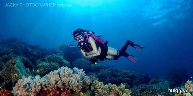 没电死机的手机还能用吗?-有问必答平台